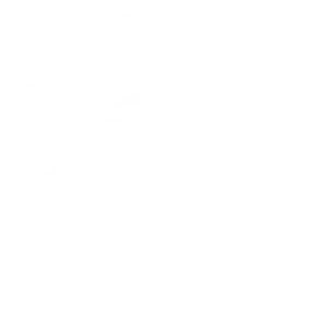 l1